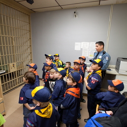 Cub Scouts